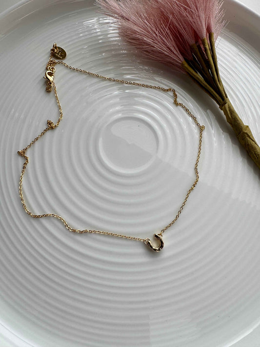 Horseshoe collar