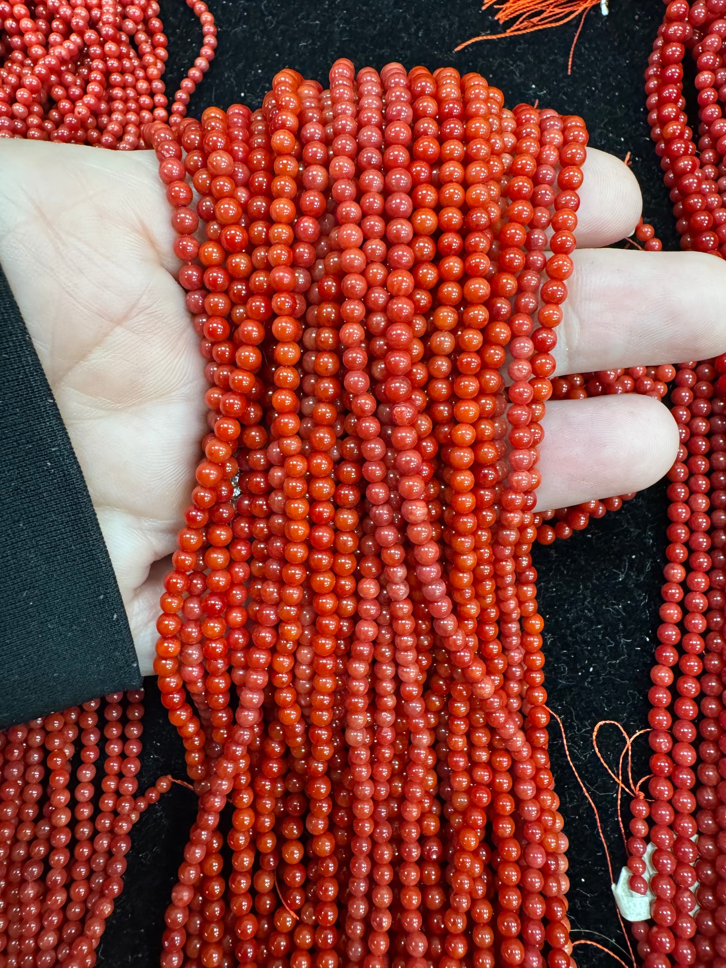 Bamboo coral | 3.5 - 4 mm