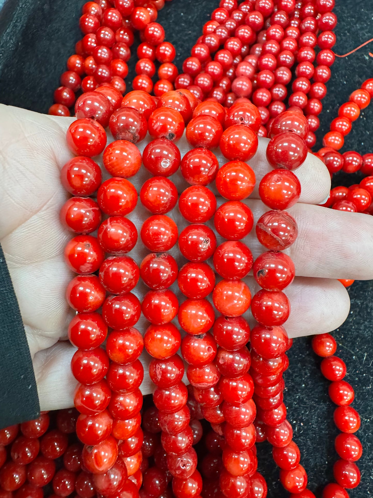 Bamboo Coral | 8.5mm