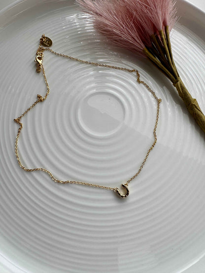 Horseshoe collar